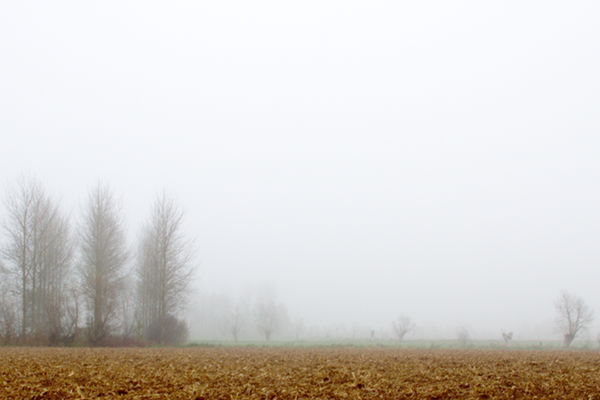 Mist over Latem ©2011 buscalisa